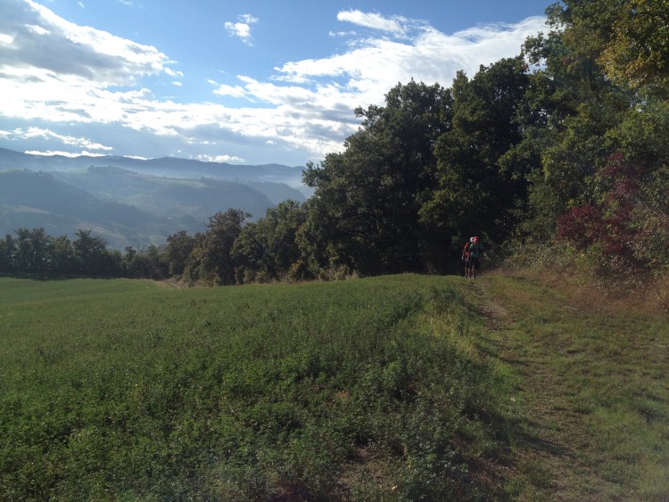 trail running panorama