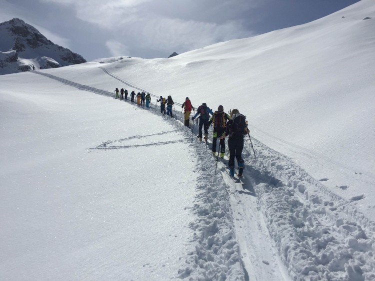 adamello splitboard