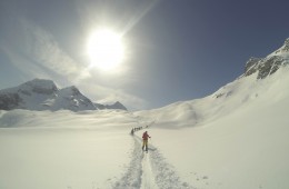 adamello splitboard