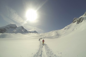 adamello splitboard