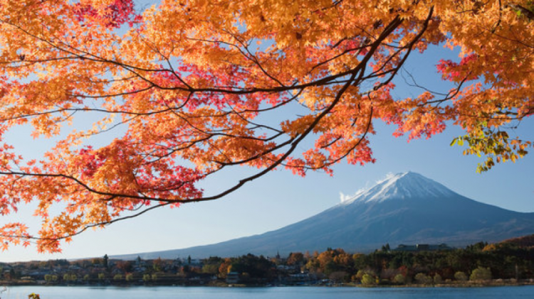 Fujisan marathon