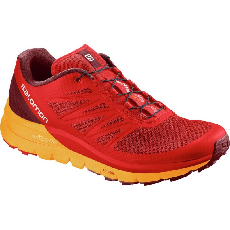 Salomon Sense Pro Max