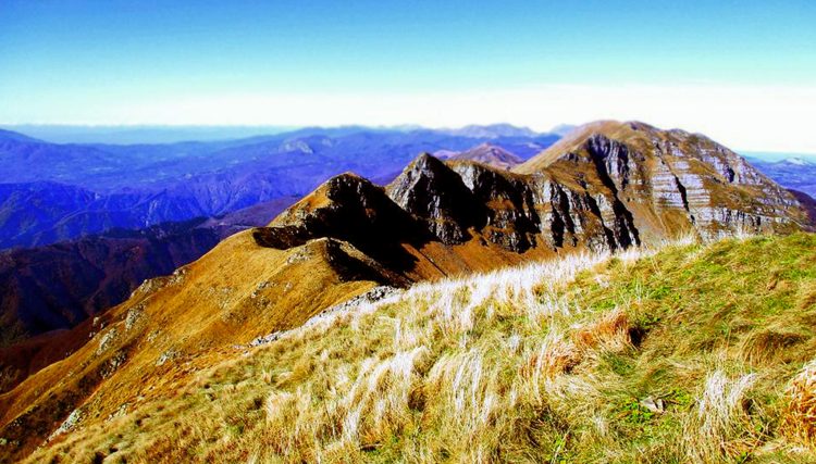 img: Dalla Pagina Facebook Lago Santo Mountain Race - Monte Giovo 1991 mslm