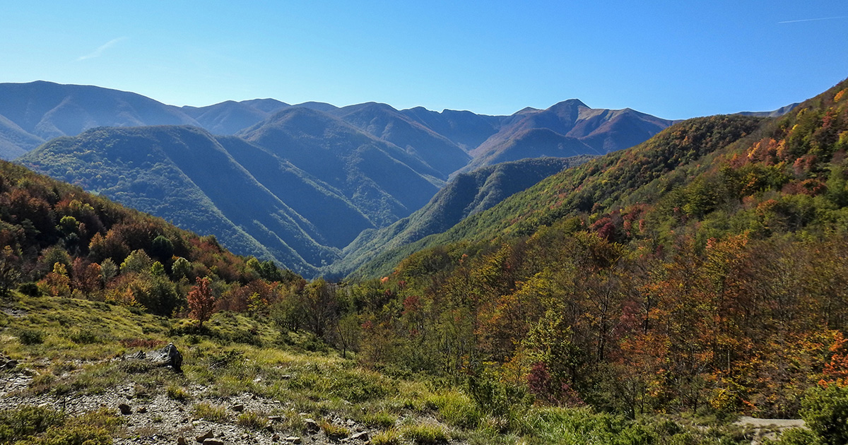 Sulle tracce del Trail